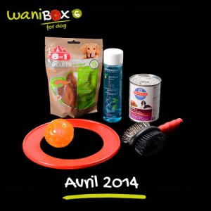 WaniBox pour chien