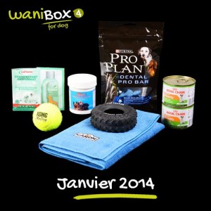 WaniBox pour chien