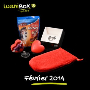 WaniBox pour chien