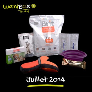 WaniBox pour chien