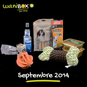 WaniBox pour chien