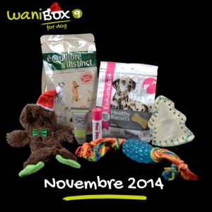 WaniBox pour chien