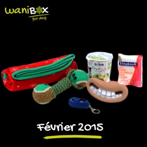 WaniBox pour chien