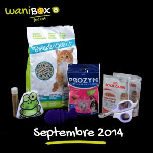 WaniBox pour chat