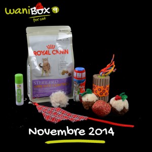 WaniBox pour chat