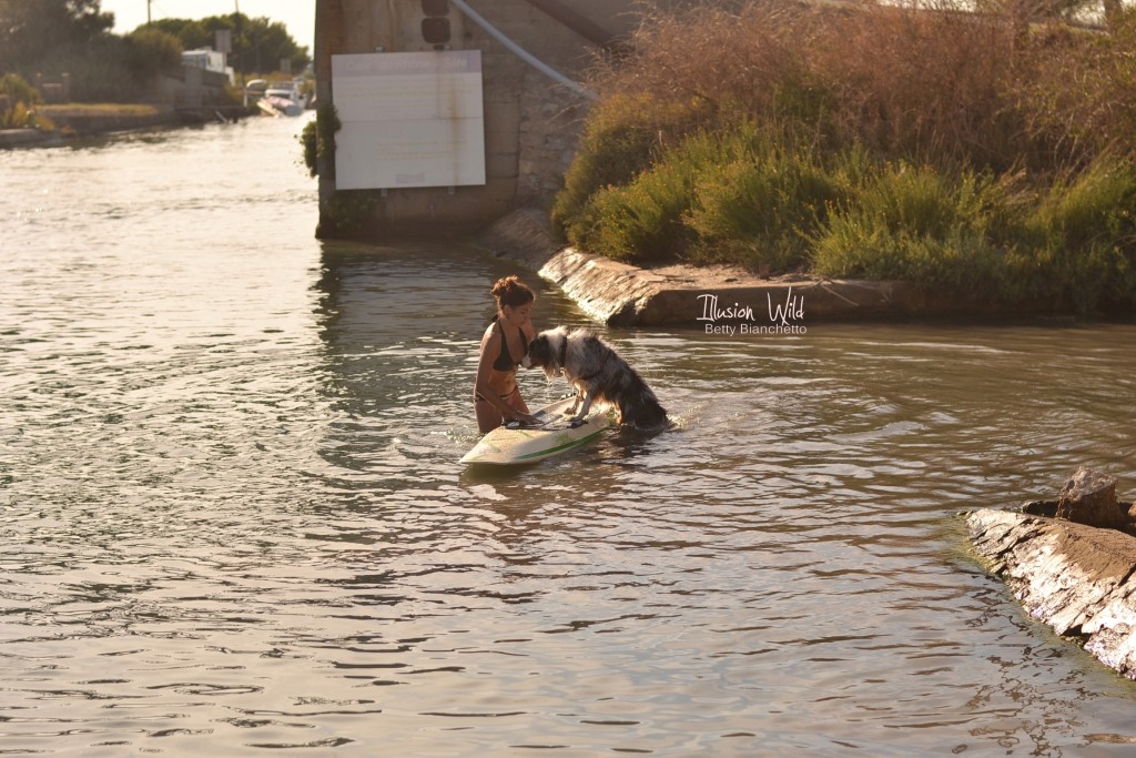 pratiquer le paddle board