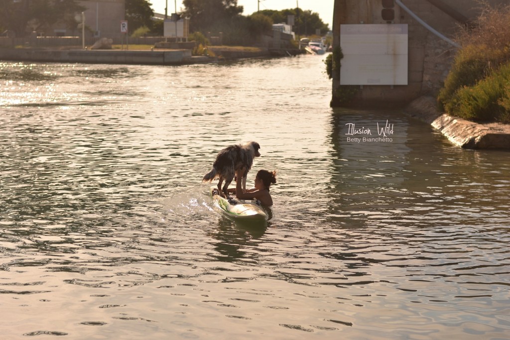 paddle board