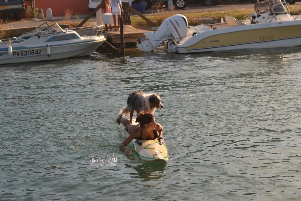 paddle board