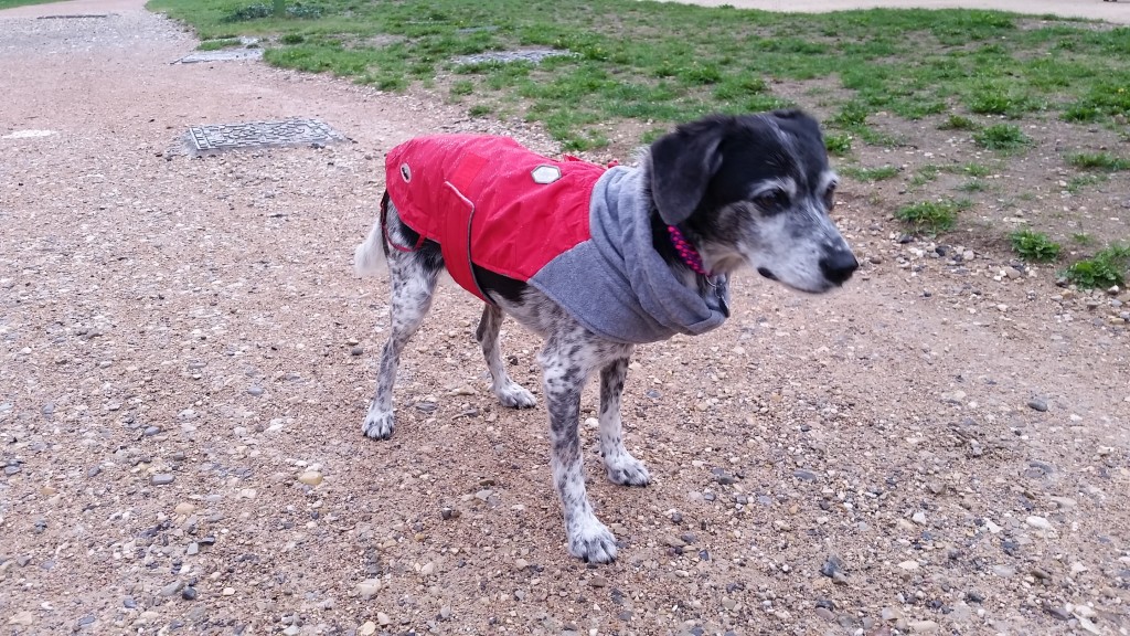 Imperméable pour chien Peggy