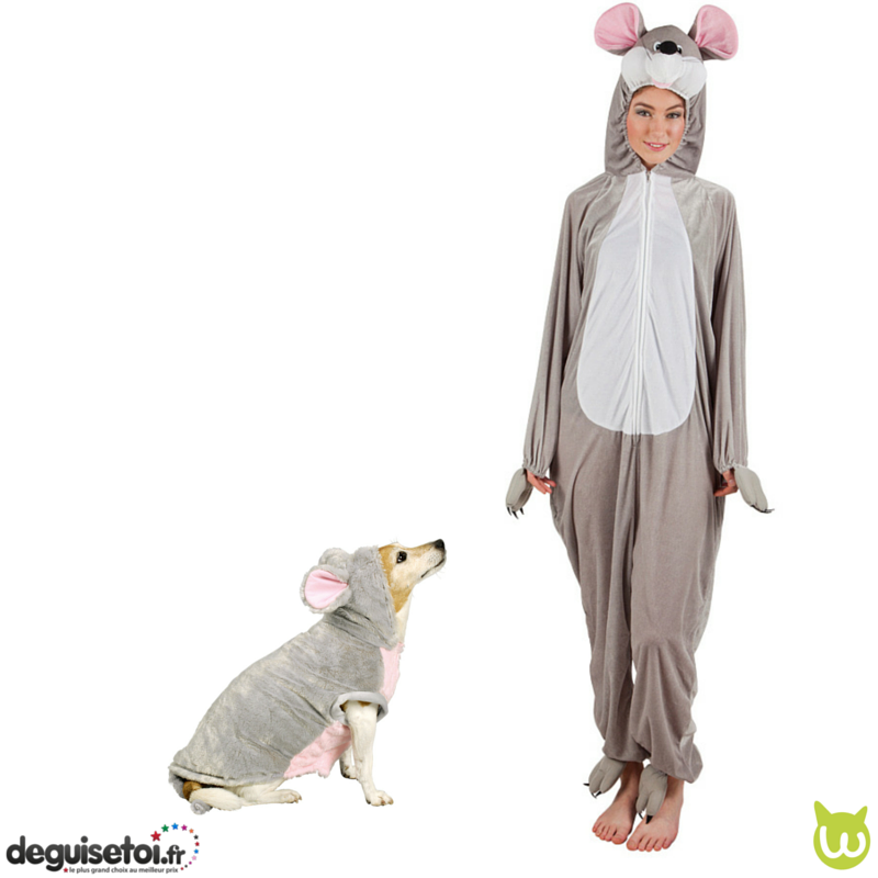 costume chien