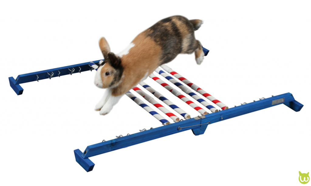 obstacle kaninhop