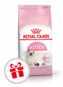 croquettes Royal Canin Chaton