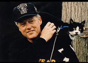 Socks, une perle noire célèbre