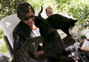 Jacques Dutronc et les chats noirs