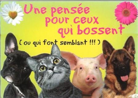 grand jeu carte postale