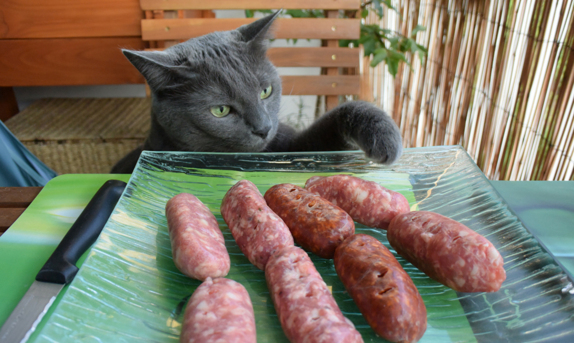 Cuisiner un apéritif pour chat