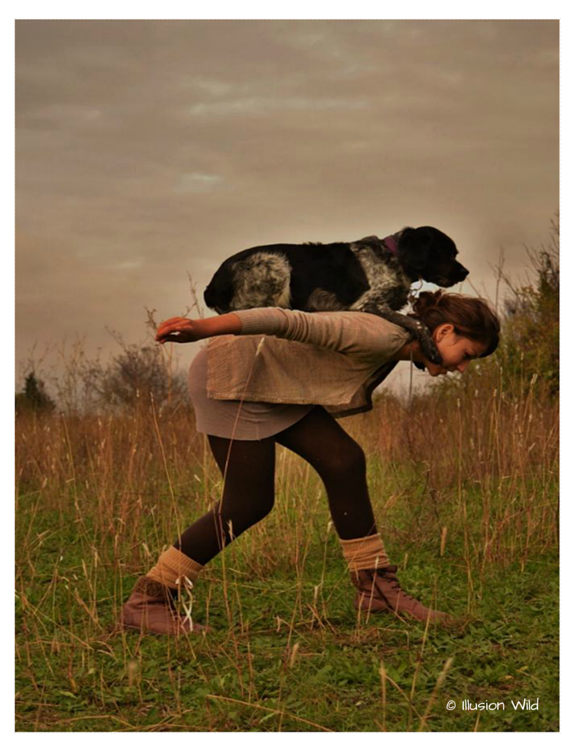 pratiquer une activité sportive avec son chien