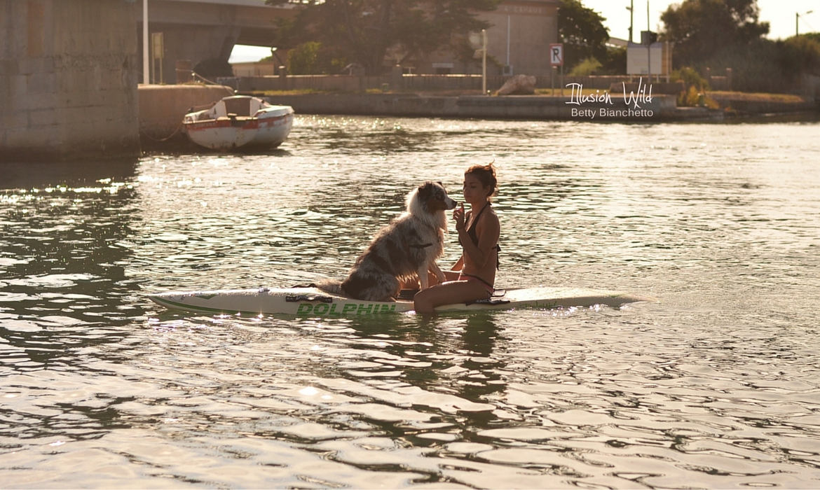 Sport canin : paddle board