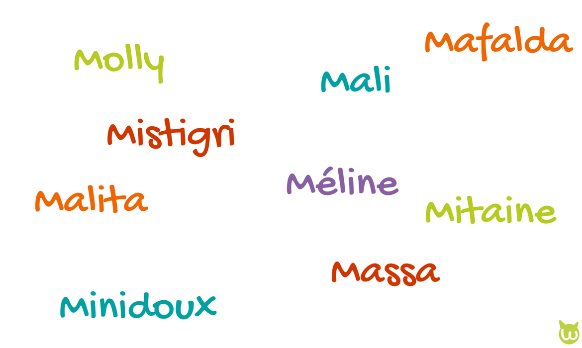 prénom de chat qui commence par m