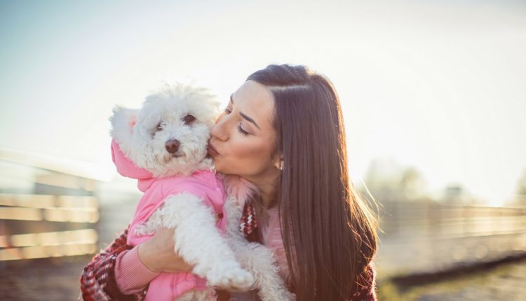 Chien dans les bras de sa maitresse