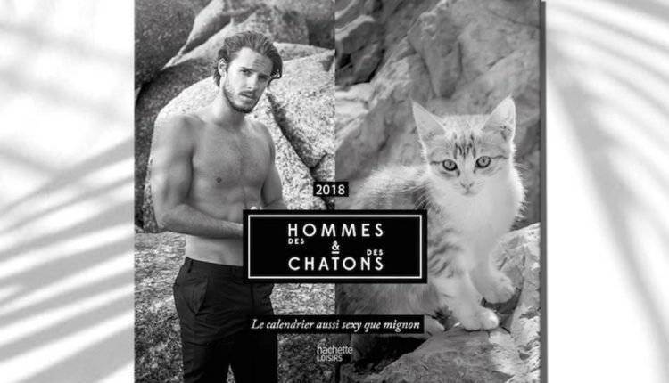 calendrier des hommes et des chatons
