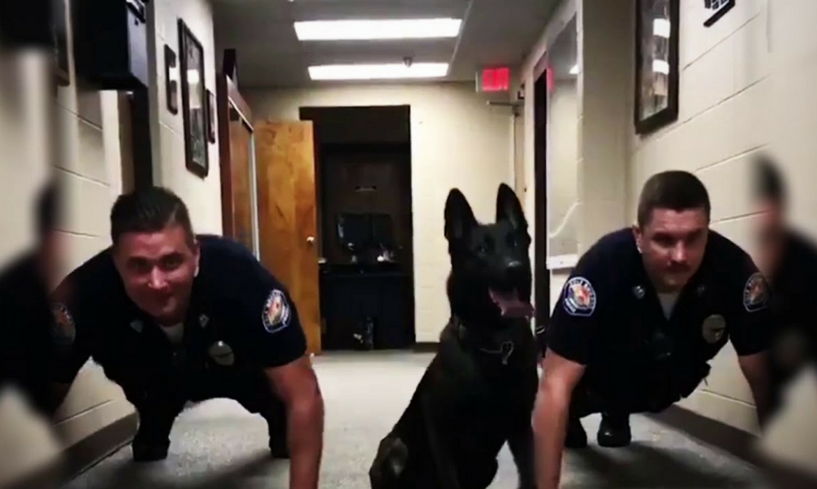 Nitro chien policier