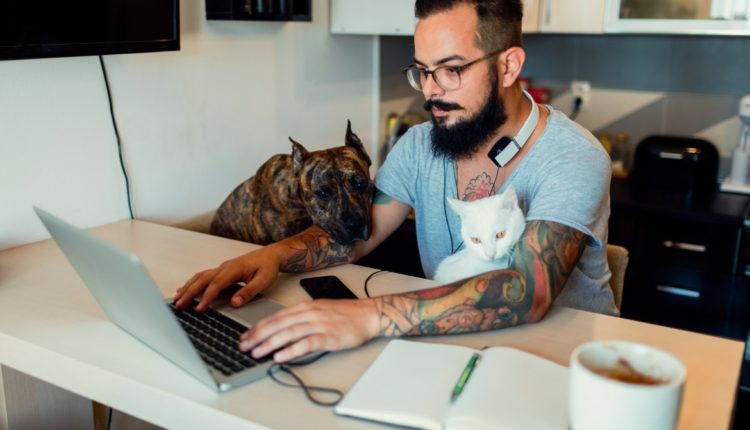 Homme avec son chien et son chat