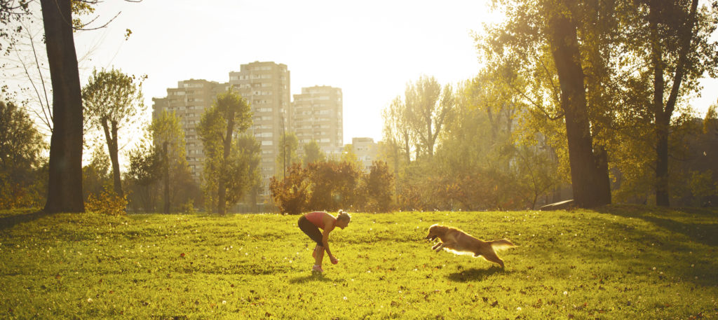 chien dans un parc avec sa maitresse