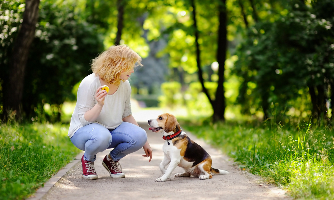 femme qui joue avec un beagle