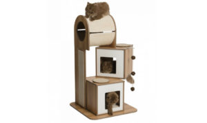Des Arbres A Chat Qu On Ne Cache Pas Wanimobuzz Des Arbres A Chat Qu On Ne Cache Pas Wanimobuzz