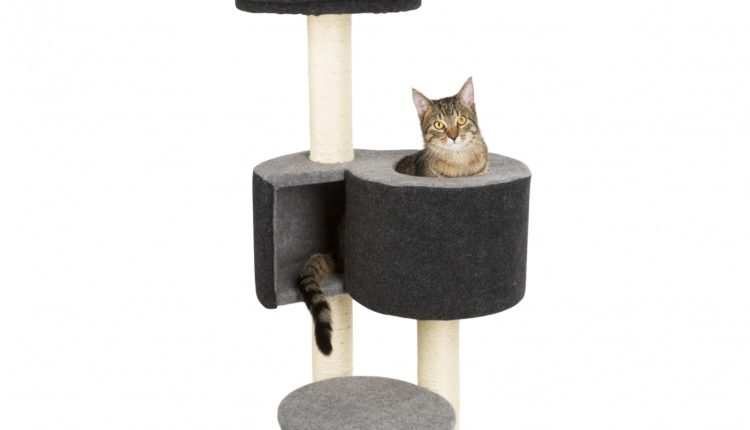 arbre-a-chat-fridolin-kerbl