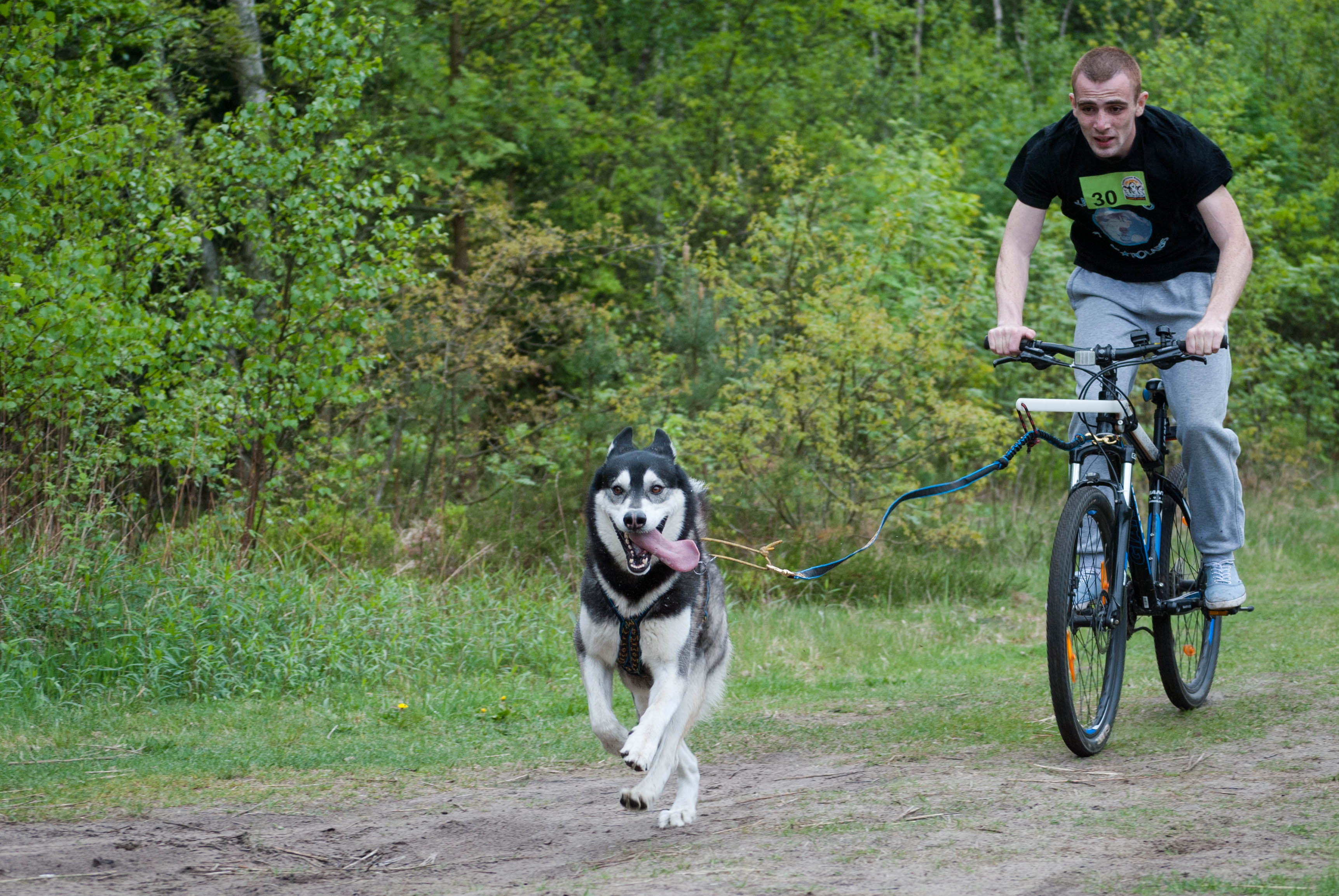 bikejoring with husky WanimoBuzz