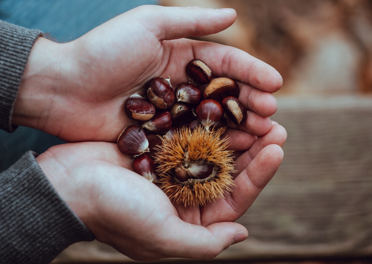 Marrons
