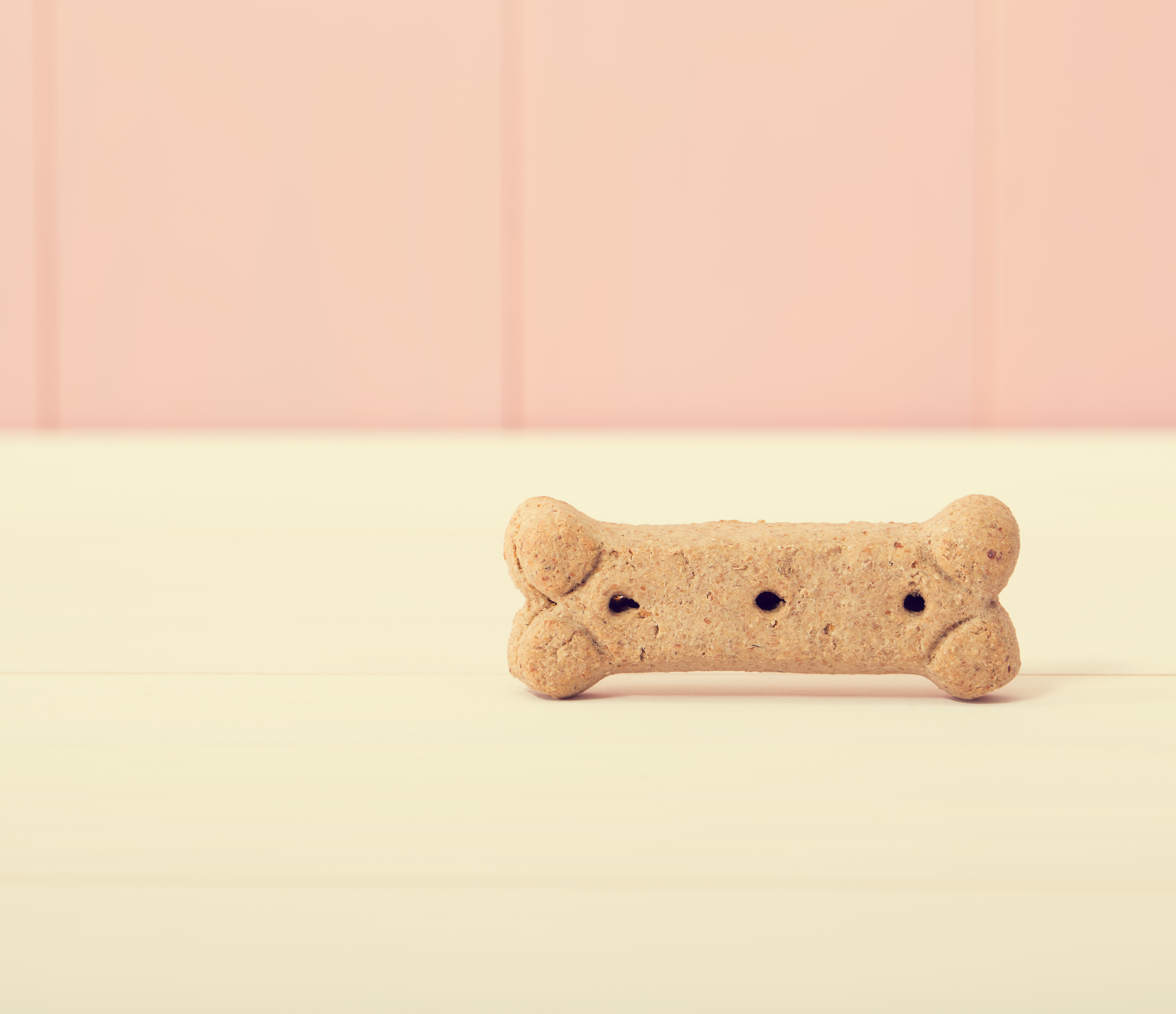 Bone shaped dog treat WanimoBuzz