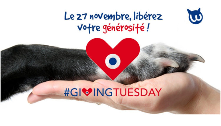 Giving tuesday