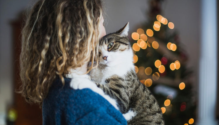 Chat câlin avec sa maîtresse