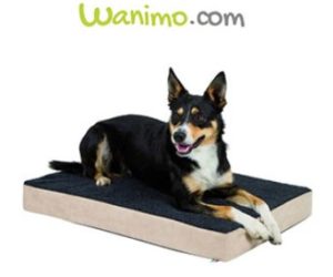 couchage offerts par Wanimo