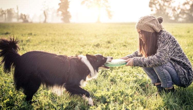 Frisbee avec son chien