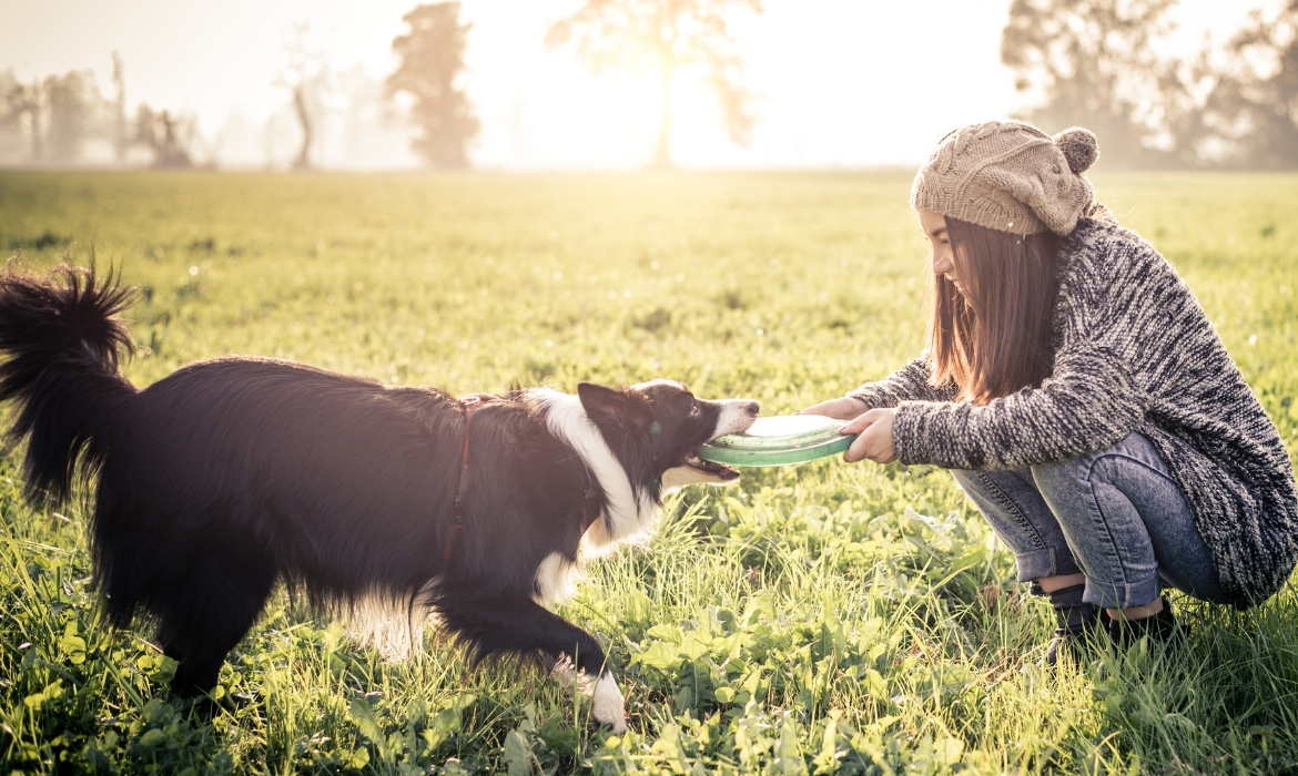 Frisbee avec son chien