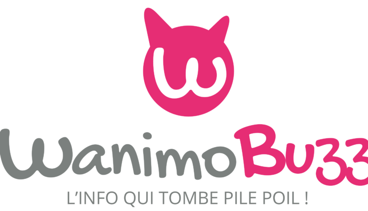 cropped-logo-wanimobuzz-principal-2.png